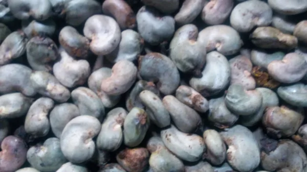 cashew captions